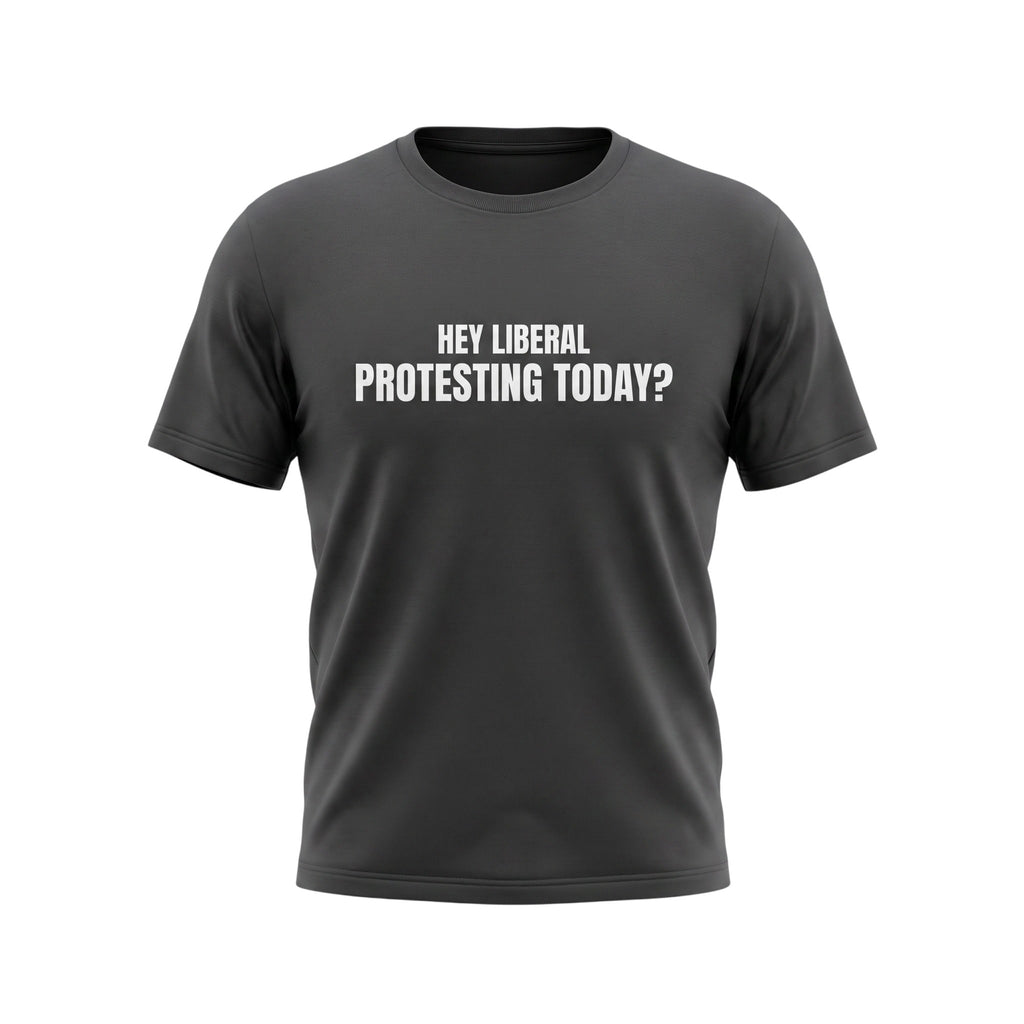 Hey Liberal Protesting Today?