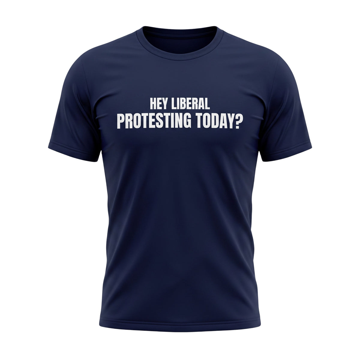 Hey Liberal Protesting Today?